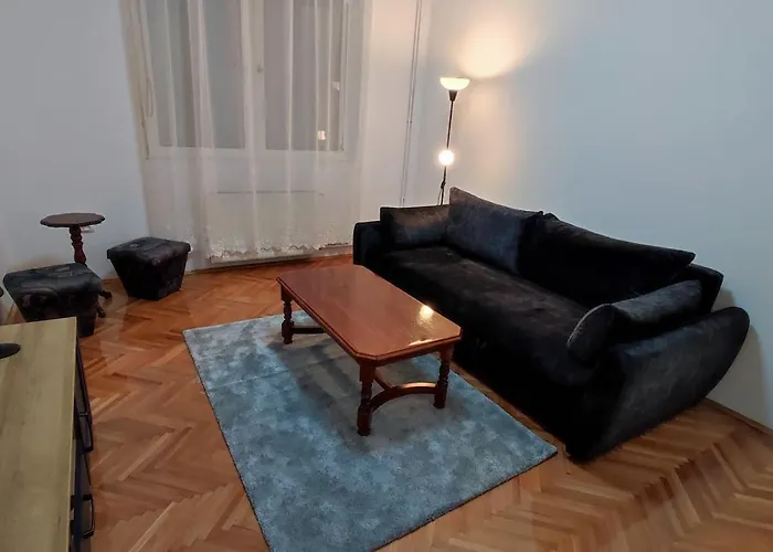 公寓 Central Lake Apartment *